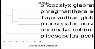 Image result for Oncocalyx