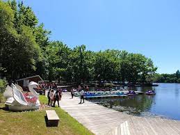 The lake provides springtime trout fishing and summer bass fishing for the avid anglers who use the park. A Mike Who Likes To Hike
