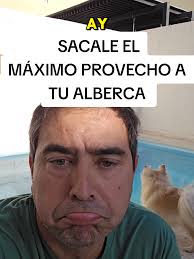 Azulejos Café para Piscinas: Diseño y Estilo