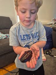 Does anyone have any suggestions for treating whatever is eating my  nectarine tree? It was treated for curly leaf earlier in the season but  this seems to be different? (Hobart, Tasmania, if