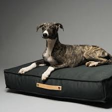 Our comfy couches are suitable for small or large sized breeds, with cushions, donut shapes, waterproof, washable or plastic options. Shop Tove Luxury Dog Bed By Labbvenn In Anthracite Free Uk Shipping Petsownus