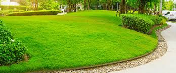 Le printemps ou l'automne sont propices car ces saisons sont bénéfiques pour une croissance plus. Refaire Sa Pelouse Prix Gazon Par M2 Allojardin Com