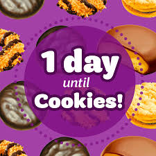 And remember, by buying and donating cookies, you support and celebrate girl ingenuity and innovation across the country, as girl scouts use creative sales methods like contactless delivery, virtual cookie booths on social media, and digital cookie platforms to keep you safe, meet their goals, and keep on shining. Only One More Day Until Girl Scout Cookies Arrive We Can T Wait Can You Girl Scout Cookie Sales Girl Scout Cookies Booth Girl Scout Mom