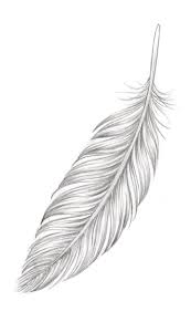 Symbolik der federn in den anderen kulturen. Feather Feather Feather Feather Feather Ankletattoo Cooltattoo Feather Feather Feath Feder Tattoo Blumenzeichnungen Federtattoos