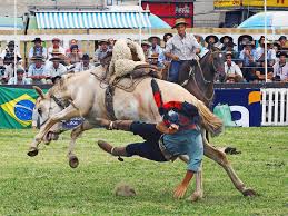 Rodeo ( / ˈroʊdiːoʊ / or / roʊˈdeɪ.oʊ /) is a competitive equestrian sport that arose out of the working practices of cattle herding in spain and mexico, expanding throughout the americas and to other nations. Tierqualerei Bei Rodeo Turnier