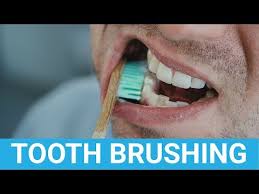 Not brushing your dog's teeth regularly can lead to plaque buildup, toothaches, and sore gums. How Long How Often Should You Brush Your Teeth Electric Teeth