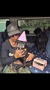 DOGS DAY OUT GIZZY added a new photo...