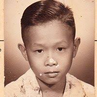 Vienna by Stephen Brook