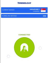 Sep 01, 2019 · download tunnelcat vpn apk 1.6.1stable for android. Vivo Unlimited Free Internet Via Tunnelcat And Slow Dns 2019 Androidtechvilla