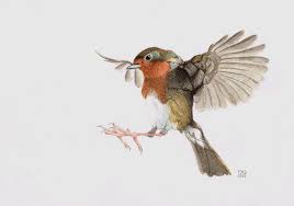 Black outline simple forest scene with bird half sleeve on. European Robin Watercolor By Queby On Deviantart Flying Bird Tattoo Watercolor Bird Birds Flying