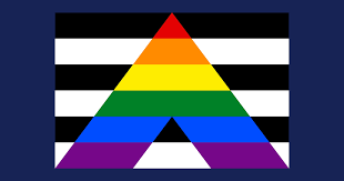 What Is The Straight Ally Pride Flag And What Does It Mean? – Heckin'  Unicorn