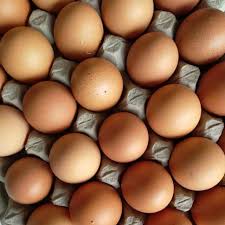 Cangkang telur ayam negeri umumnya berwarna kecoklatan, sedangkan cangkang telur ayam kampung kandungan nutrisi telur ayam kampung tidak berbeda jauh dengan telur ayam negeri. Telur Ayam Negeri Fresh 1kg Kurang Lebih15 17 Butir Telur Ayam Ras Ikat Kg Shopee Indonesia