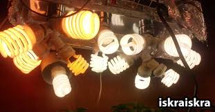 Grow boxes are totally enclosed, containing their own light and ventilation systems, utilizing hydroponics as a growing medium. Beginner Guide To Growing Cannabis With Cfl Lights Grow Weed Easy