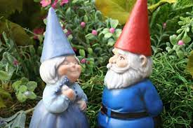 Mr And Mrs Gnome Garden Gnomes For Sale Gnome Garden Fairy Garden Art