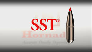Hornady Sst Bullet Overview