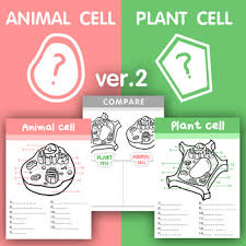 Check spelling or type a new query. V 2 Plant Vs Animal Cell Structure Fill In All The Missing Letters Compare
