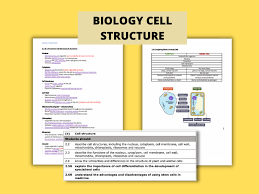 We did not find results for: Cell Structure I Gcse Biology Detailed Notes Teaching Resources