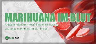 Marihuana Im Blut So Lange Bleibt Es Dort Justbob