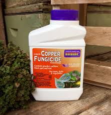 Bonide Copper Fungicide Dust Spray Fungicide Powdery Mildew Fungal Diseases