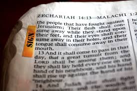 Image result for scripture study lds