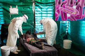 These are marked by severe bleeding (hemorrhage), organ failure and, in many cases, death. Marburg Virus Disease Could It Be From Marburg In Germany
