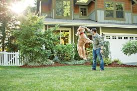 5 best portable dog fence reviews (including fences for camping, indoor training camping. Best Portable Wireless Dog Fence For Outdoor Activities 2021