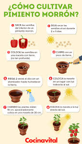 Pin En Jardin