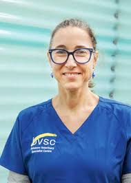 Our Team Meet Our Team