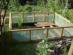 Diese tiere brauchen aber auch einen landteil als auslauf. Der Schildkrotenteich Freilandanlagen Fur Wasser Und Sumpfschildkroten