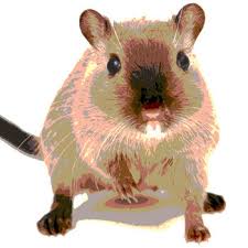 The following are smart, easy ways to prevent a pest infestation in your home or business: Ipm A Practical Approach To Pest Control