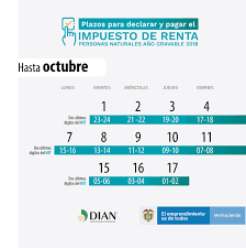 Entre el 10 de agosto y el 20 de octubre de 2021 vencen los plazos para que las personas naturales presenten su impuesto de renta del año gravable 2019. Paginas Herramientas De Ayuda
