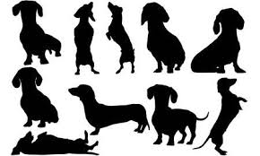 Black And White Dachshund Clipart 1 800 Dachshund Silhouette Stock Vector Dachshund Silhouette Dachshund Dog Silhouette