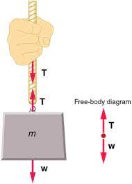 This is the currently selected item. Normal Tension And Other Examples Of Forces Physics