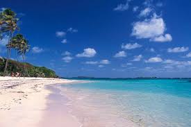 Sur cette plage de martinique, on peut faire quelque chose de merveilleux ! Les Dix Plus Belles Plages De Martinique