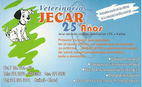 Veterinaria Jecar