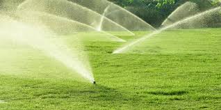 What Is The Difference Between Drip Irrigation And A Sprinkler System Stone Tree Landscaping St George Utah