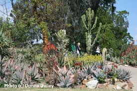 We did not find results for: Visiting Balboa Park