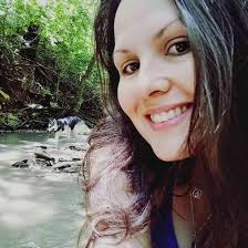 What are some ideas for making a bus accessible for a dog with hip  dysplasia?