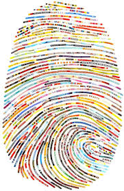 What Is Biology In Simple Words What Are Branches Of Biology What Is Biology And Its Importance Click On The Photo To Le Art Projects Paper Art Art Quilts