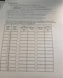 Because half of it is original and half of it is new. Solved Dna The Molecule Of Heredity Worksheet Dna Struct Chegg Com
