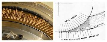 How Are Wood Pellets Made Do You Know How The Die Hole Designs Of Pellet Mill Influence Your Pellet Quality Do You Know The Easiest 3 Steps To Check Your Pe