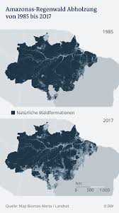 Rome2rio ist eine suchmaschine für reiseinformationen und buchungen von tür zu tür, die dir dabei hilft, von jedem. Amazonas Uppige Regenwalder Nutzlose Boden Wissen Umwelt Dw 25 08 2019