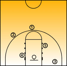 We did not find results for: How Basketball Team Networks Work Ask A Biologist