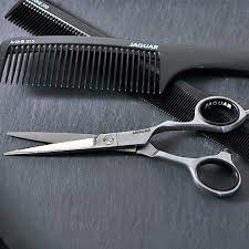 Can You Cut Hair With Regular Scissors Or Do They Have To Be Professional Ones