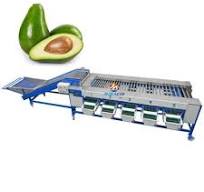 Automatic Avocado Grading Machine Manufacturers, Suppliers ...