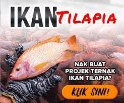 Astro prima kini bersiaran di astro & njoi. Meja Bulat Sepahtu Episod 7 Sepahtu Sinar Dan Rakan Crew Di Projek Khatan Sakan Sinar Bersiaran Setiap Rabu Jam 9 00 Malam Di Saluran Astro Prima 105 Dan Maya Hd 135