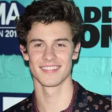 Shawn Mendes Reportedly "Worships" His Rumored New Girlfriend Hailey Baldwin