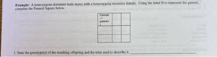 Dihybrid punnett square practice problems (continued) 3. What Is A Homozygous Recessive Example