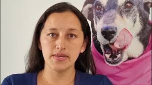 Video: ¿Cómo cuidar a tus mascotas durante incendios forestales?