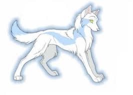 Introduce Your Wolf Anime Wolf Wolf Drawing Magical Wolf